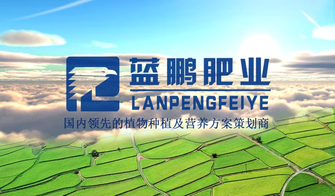 蓝鹏肥业展翅翱翔,闪耀青岛(图1)