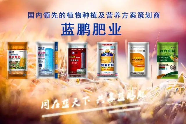 蓝鹏肥业展翅翱翔,闪耀青岛(图28)